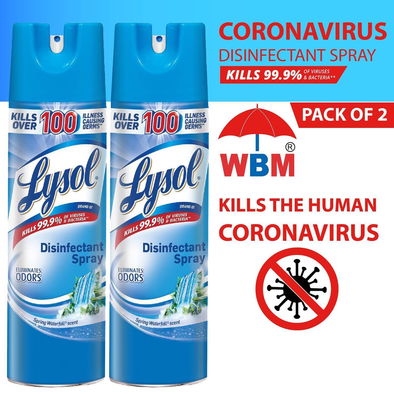 Lysol Spray-1076 G By WBM- Kills 99.9% Cold and Flu Viruses