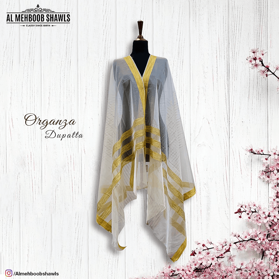 Organza Dupatta - High Quality