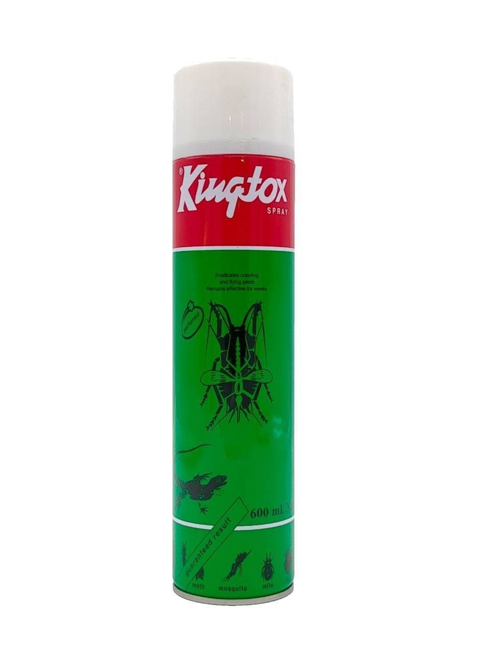 Kingtox Insect Killer Spray - 600 ml
