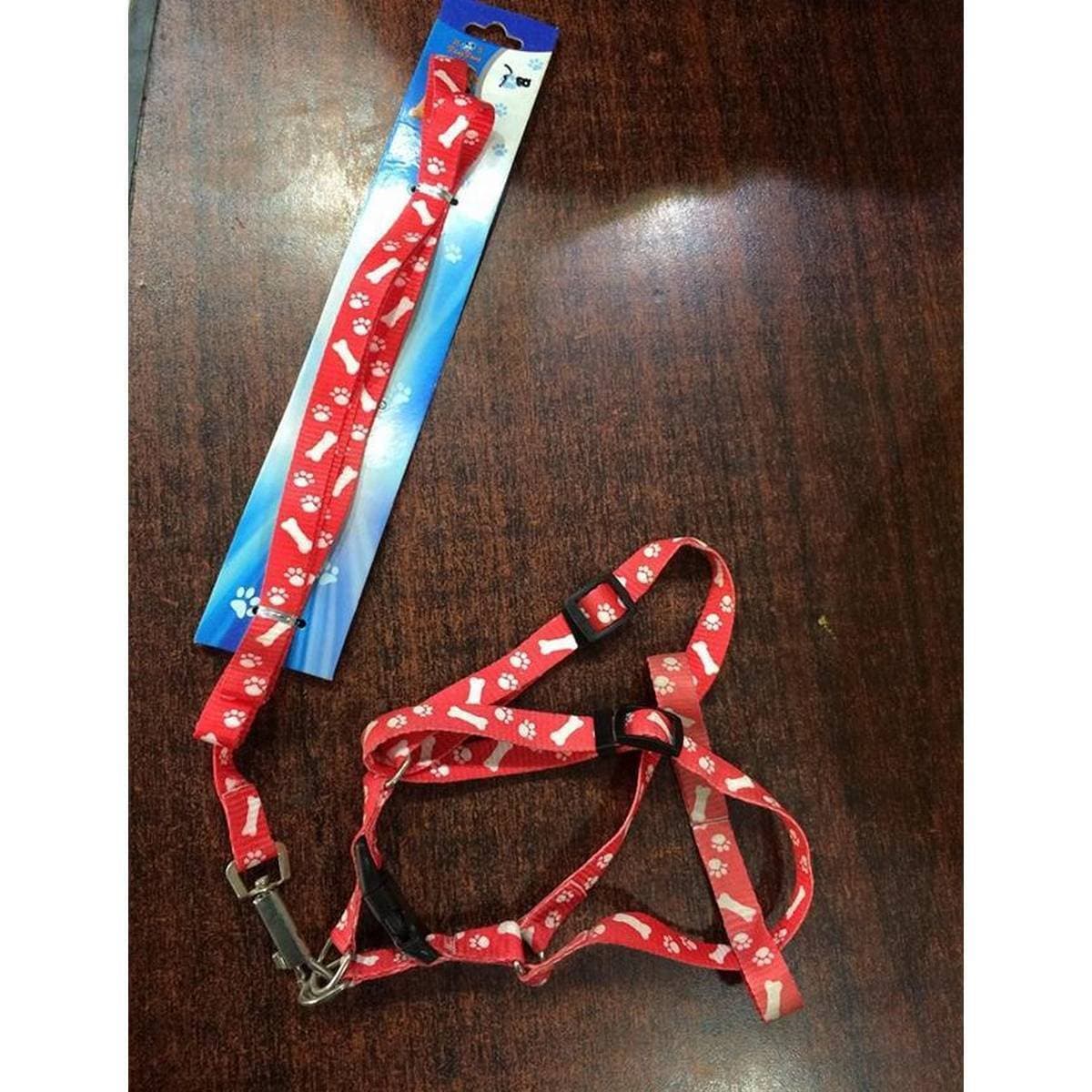 Cat Harness & Long Leash - Multi color