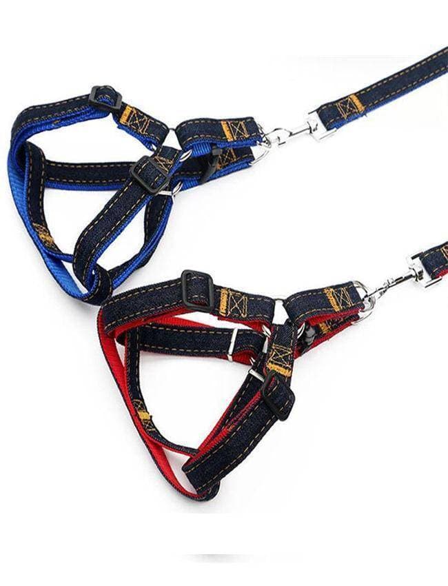 Jeans Harness & Leash For Your Dog