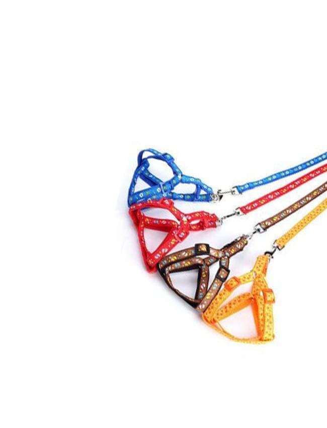 Puppy Harness With Leesh