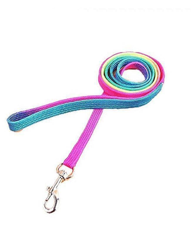 Rainbow Puppy Leash ( 6-Feet )