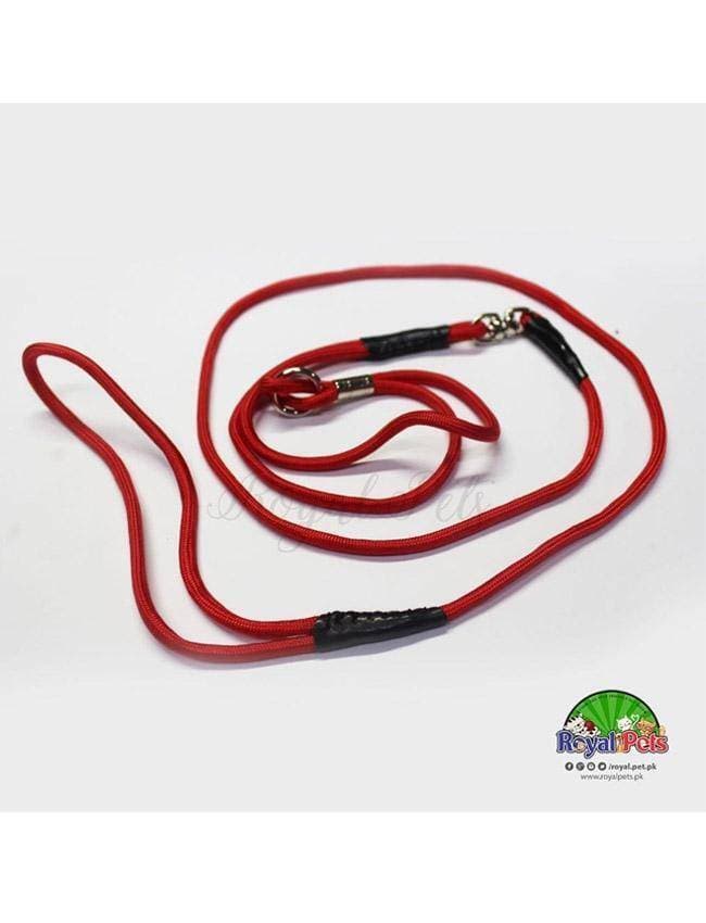 Leash For Dog - 6 Feet