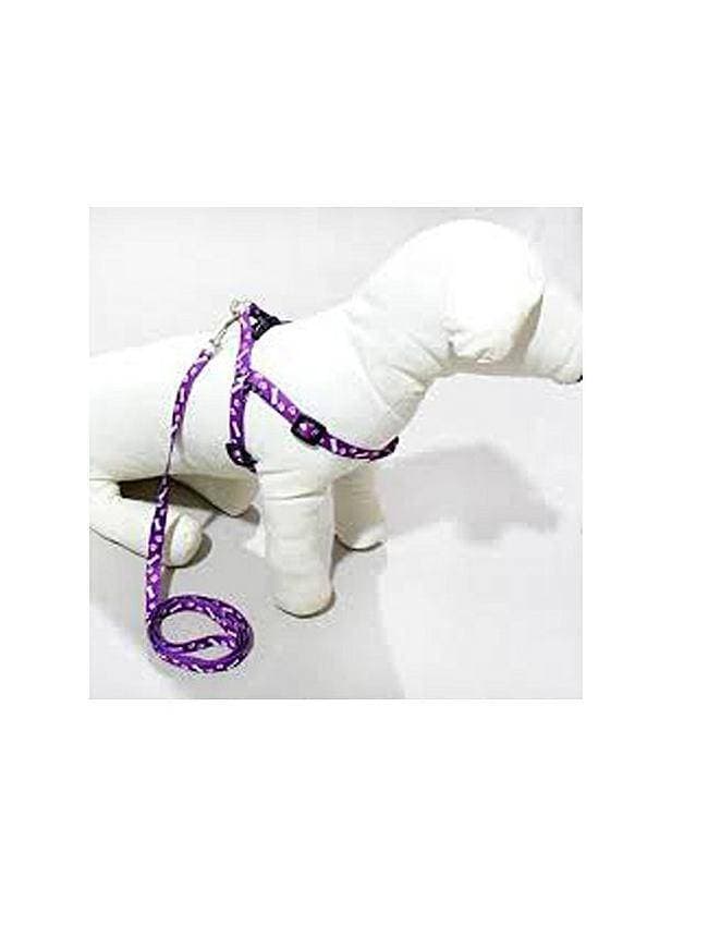LM Cat Harness & Long Leash - Purple