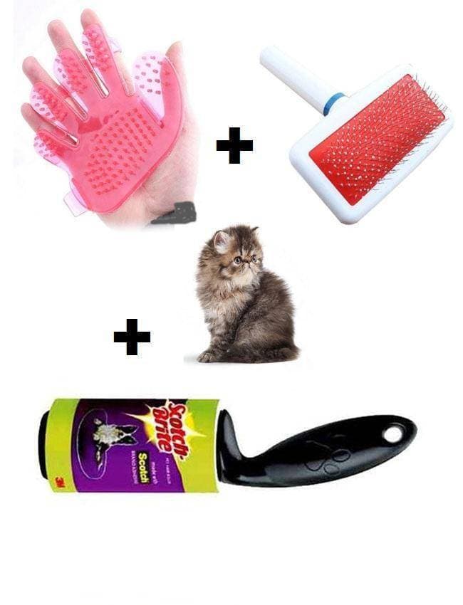 Bundle of 3 - Hair comb + Scotch brite roller + Pets bath glove