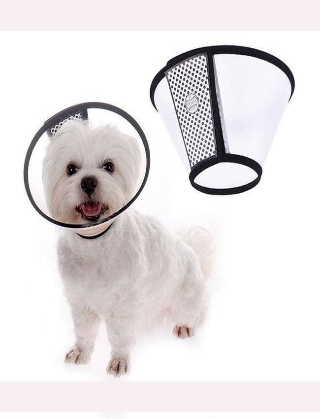 E Collar / Medical Collar For Puppy And Small Breed - Dogs & Cats