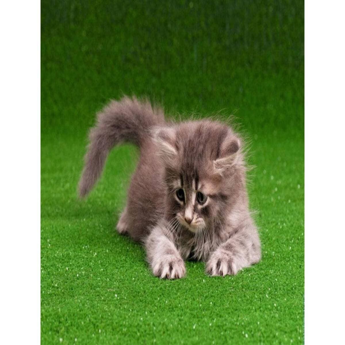 Synthetic Grass Mat For Pets - Green