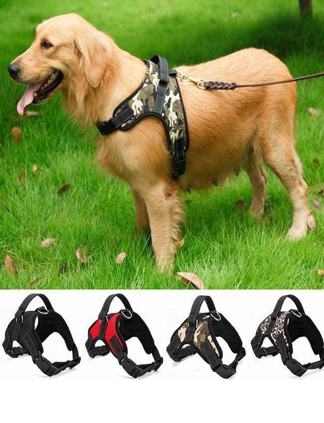 Harness / Chest Strap - Xl - For Dogs