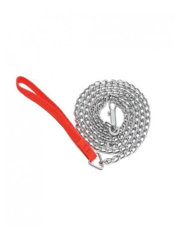 Metal Lead Chain For Dog - Silver