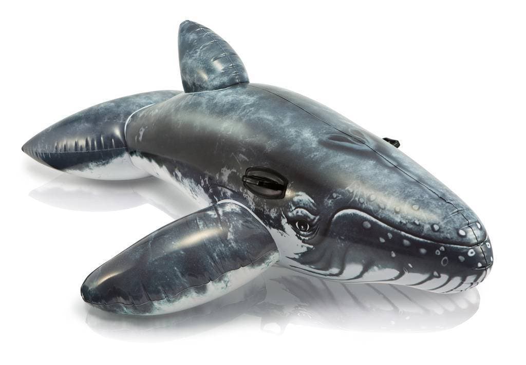 INTEX Realistic Whale Ride-On ( 79 x 53 )