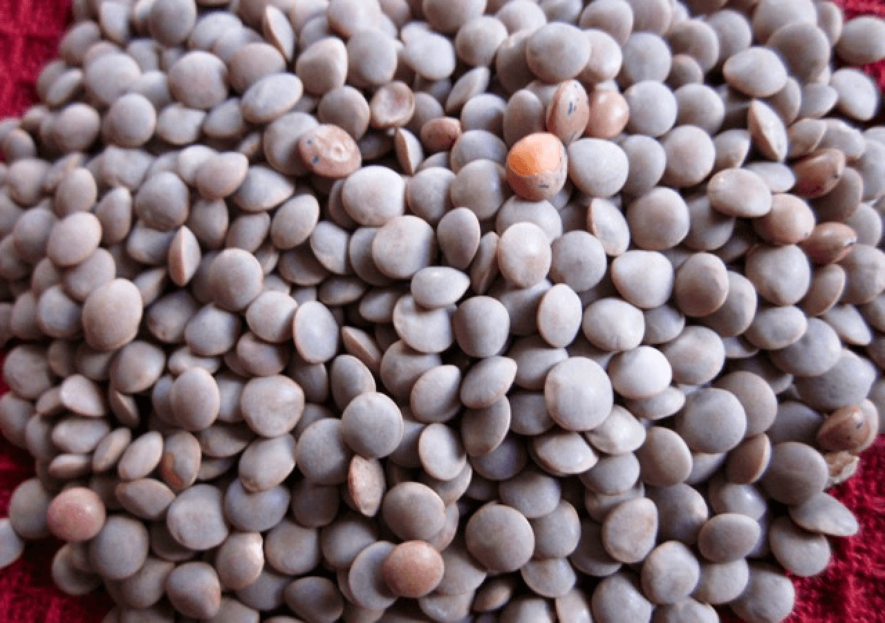 Sabat Massar Pack Of 1Kg