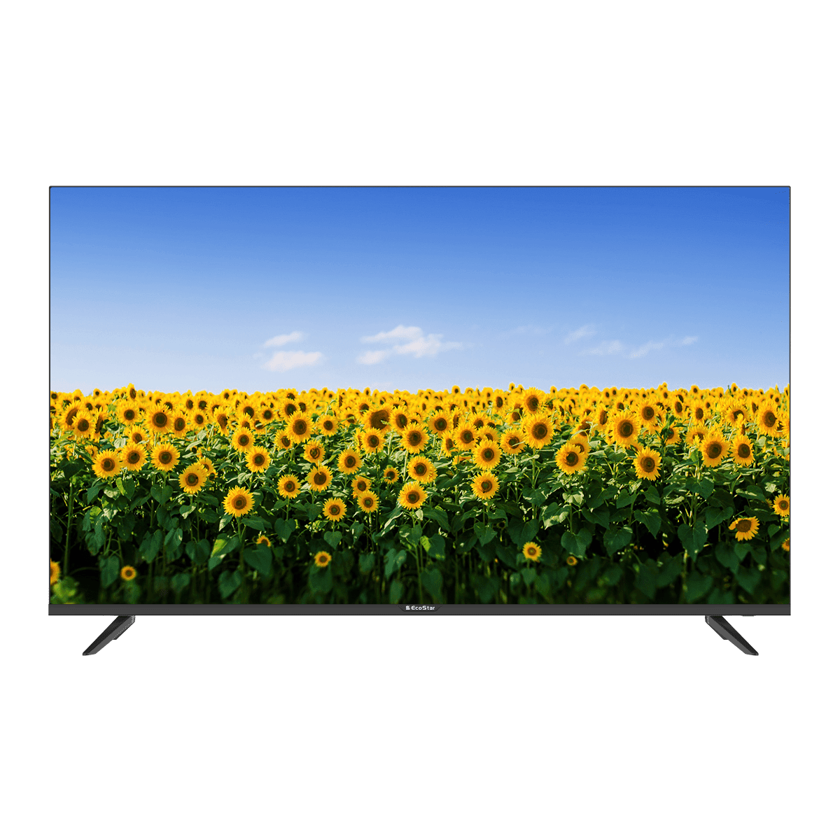 EcoStar Android 11 4K UHD Frameless TV - 50