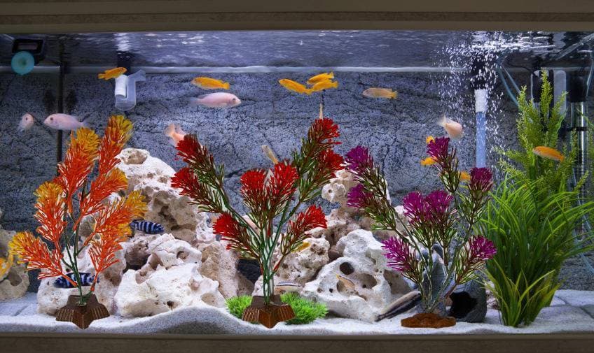 Pack Of 5 Pieces large Artificial long Underwater Plant Grass With Stone For Aquarium Fish Tank