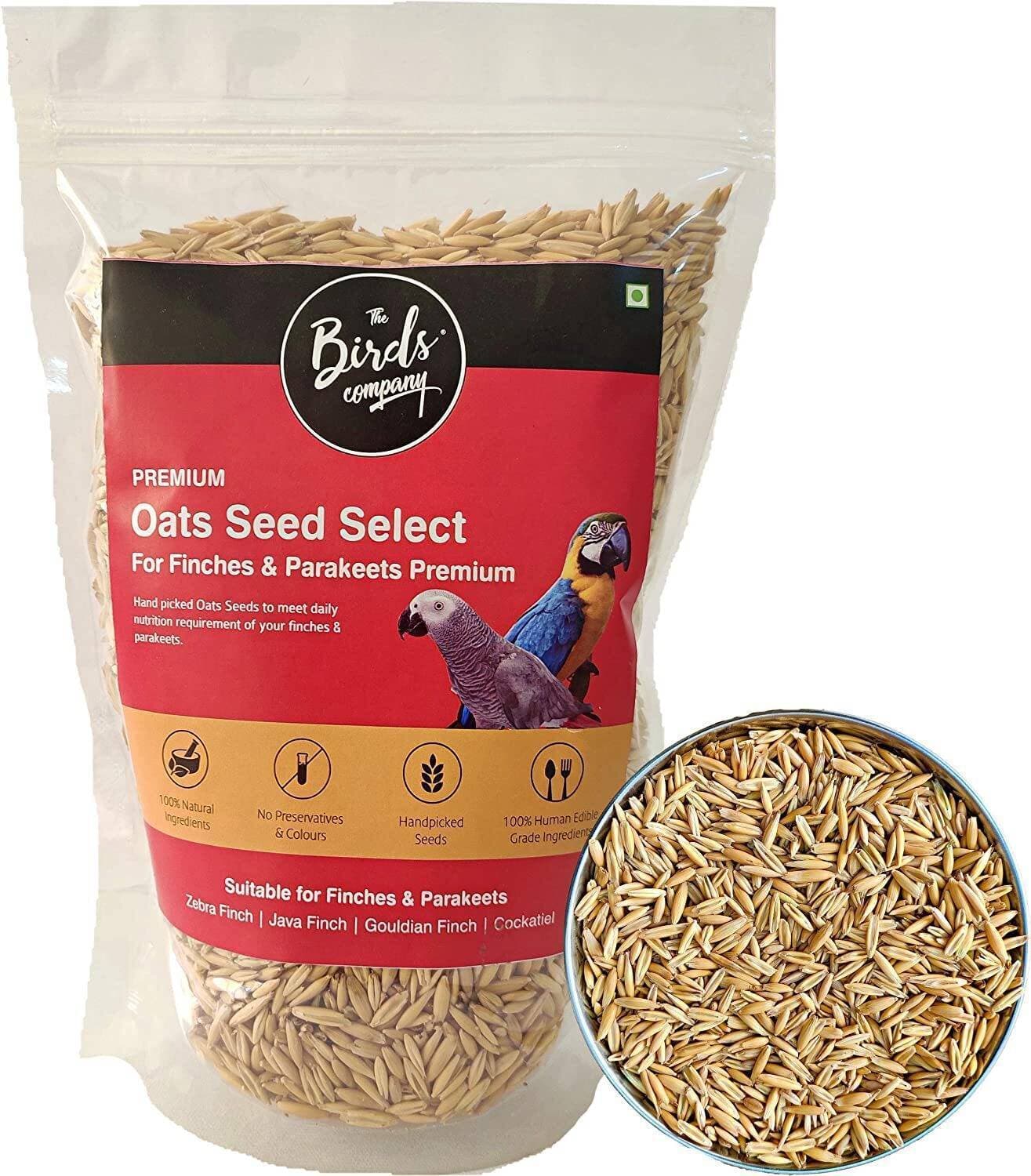 Birds Company Premium Oats Seed Select - 450 G