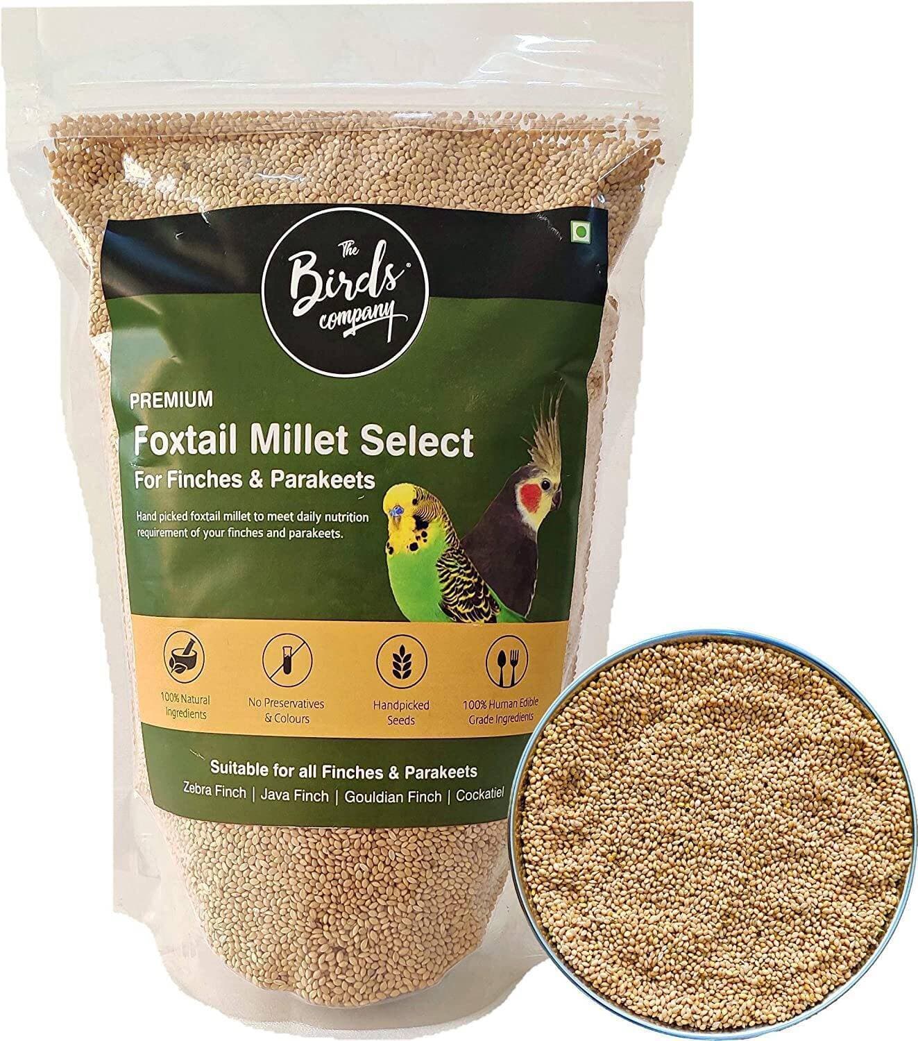 Hy Seeds - Birds Company Premium Foxtail Millet Kangni Select - 450 G