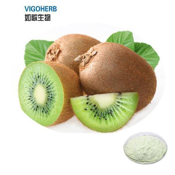 Kiwi Fruit Juice Concentrated Powder 1Kg