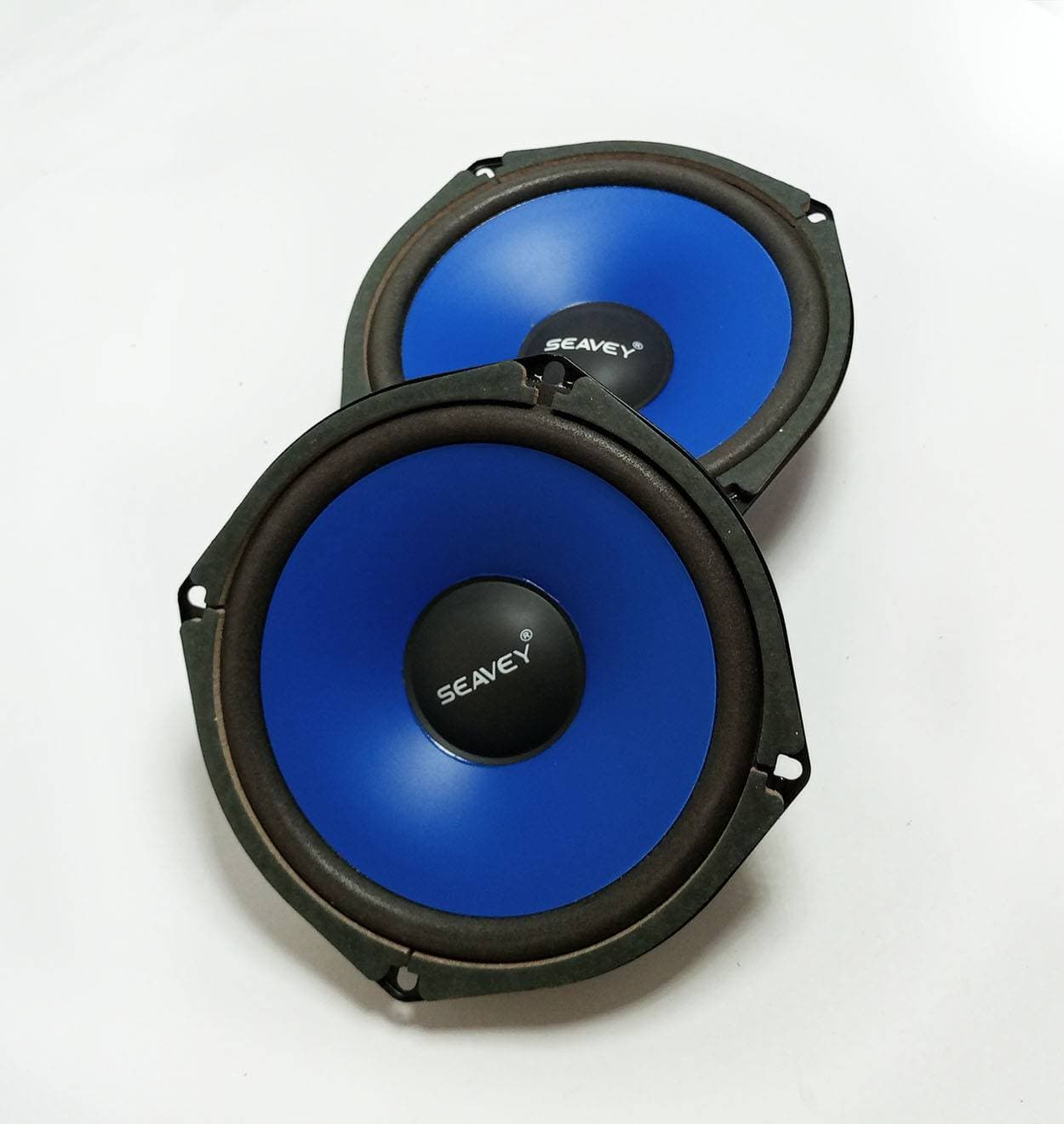 6 inch Woofer Speaker 100 Watt