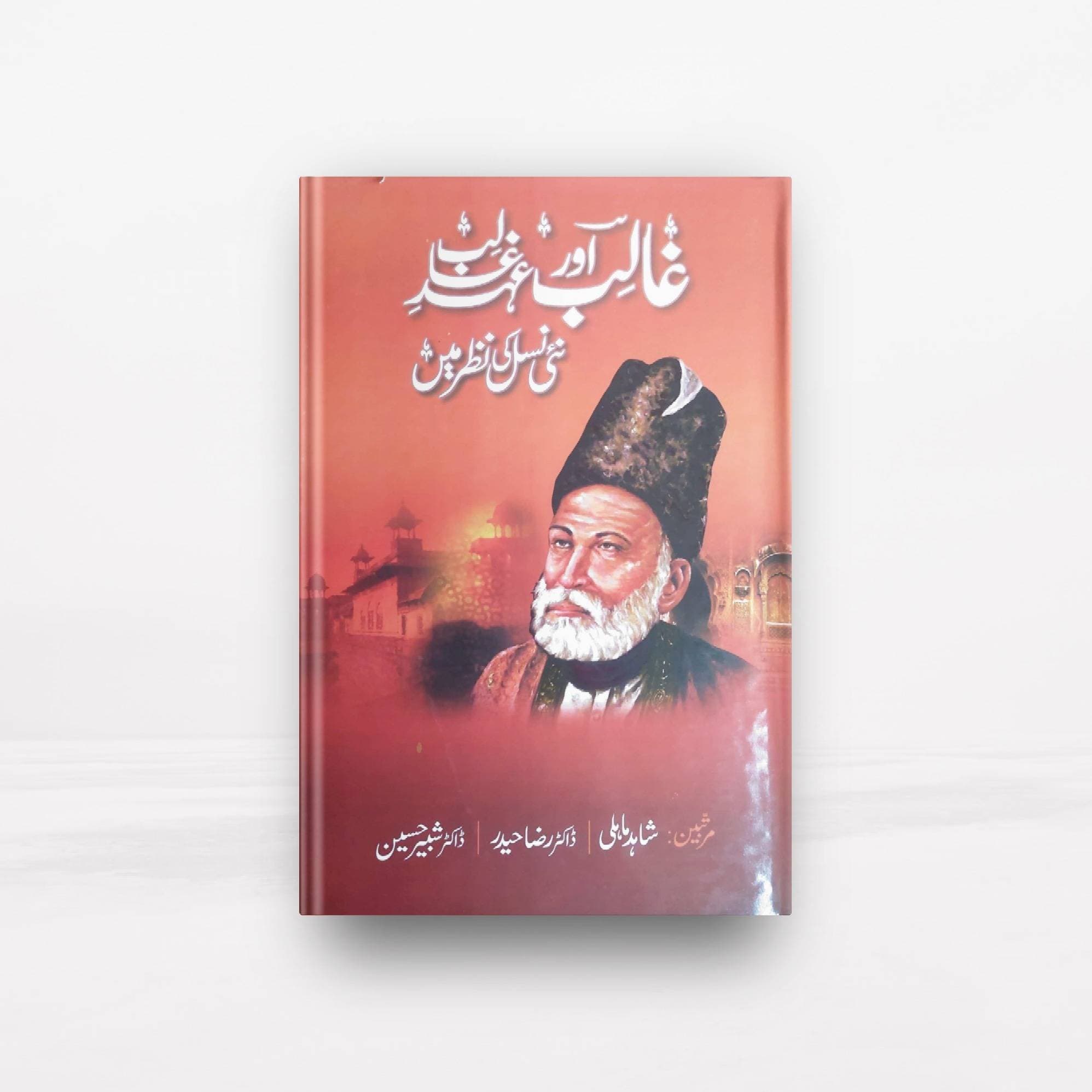 Ghalib Aur Ehdai Ghalib Book