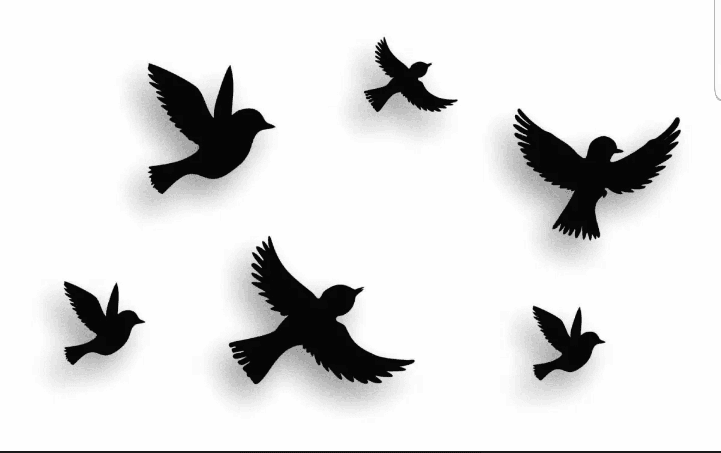 Sparrow 3D Flying Wooden Birds for Wall Décor - Pack of 6