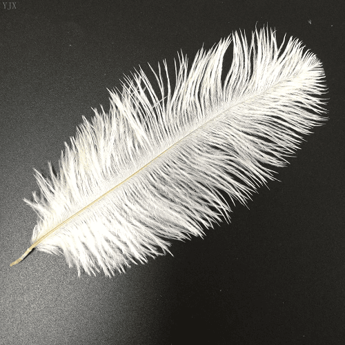 Ostrich Feathers White 5 - 7 Inches - 15 - 20 Cm For Wedding Party Diy Decorations Pack Of 2