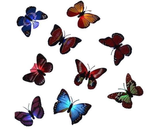 10 Pack Double Wing 3D Butterfly Wall Decals Stickers DIY