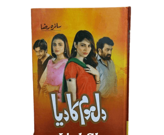 Dil Mom Ka Diya Book