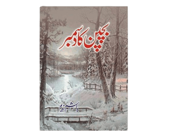 Bachpan Ka December By Hashim Nadeem Book