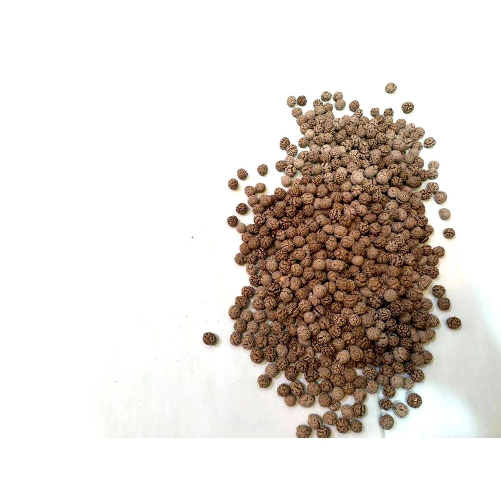 Fresh Tasty Chocolaty Channa - Pack of 1KG