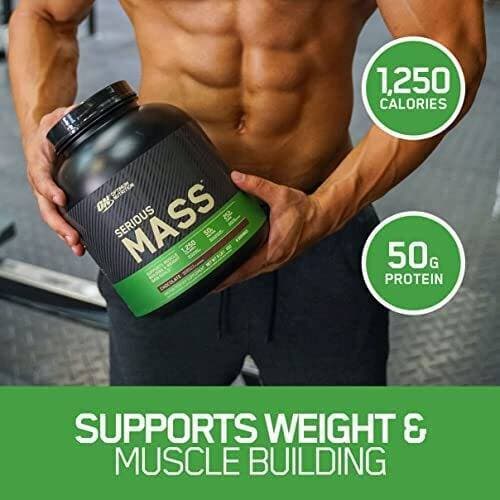 Optimum Nutrition Serious Muscle Mass Gainer - 6 LBS