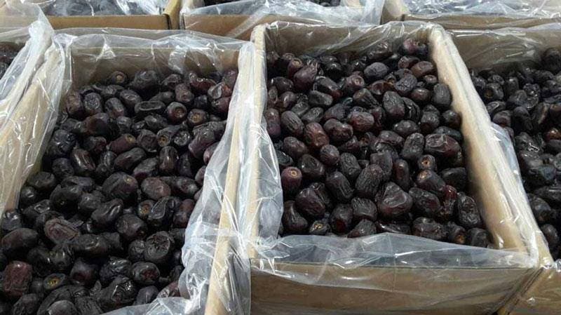 Panjgur Delight Dates - Pack of 500 Grams Khajoor