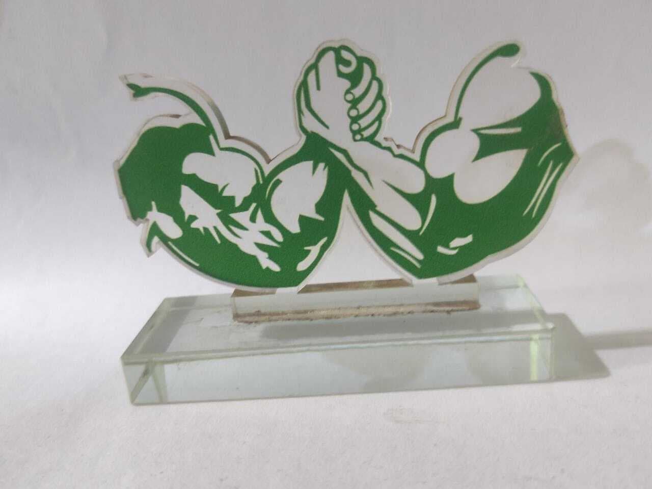 Arm Wrestling Wining Trophy Award - 1 Piece