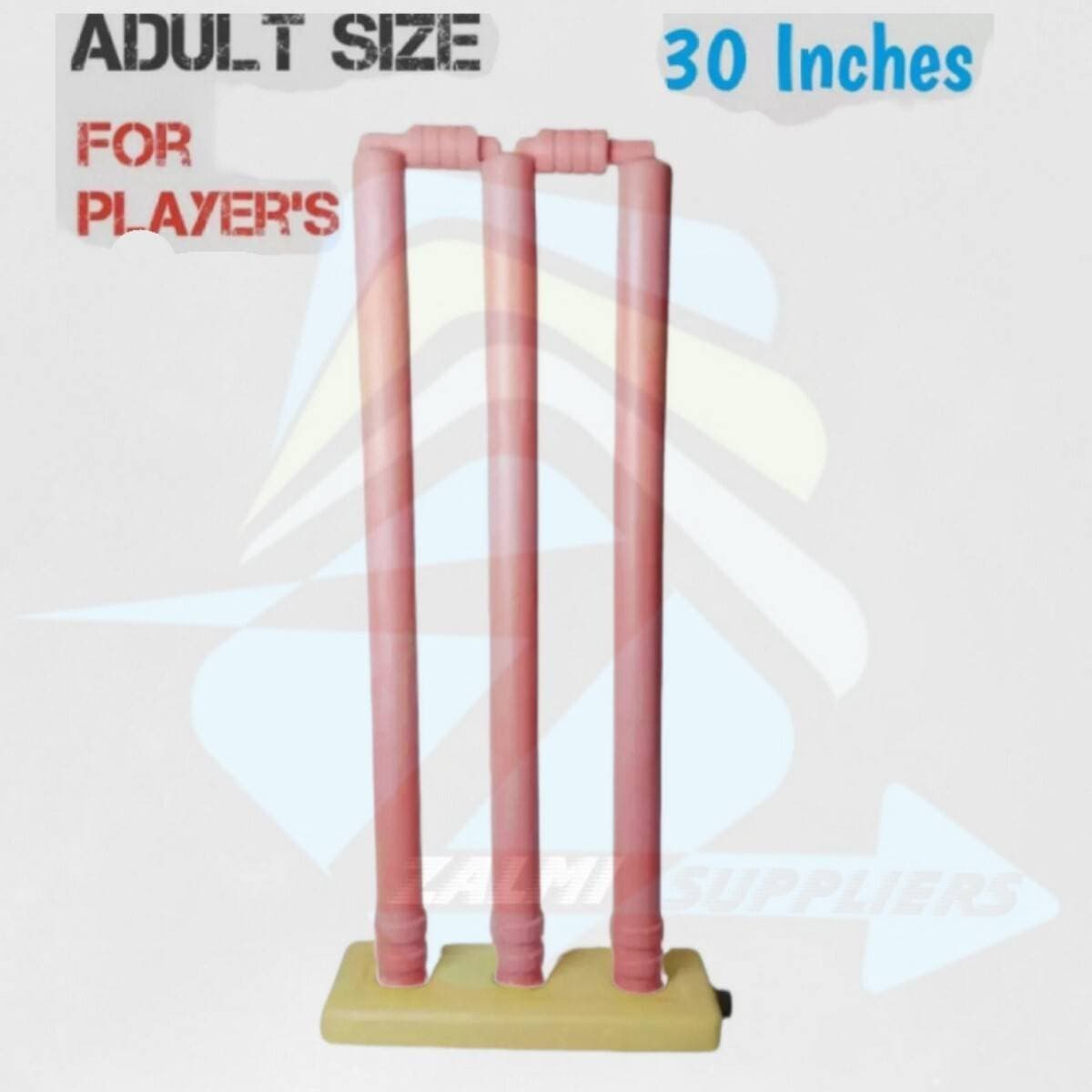 Plastic Cricket Wickets with Bails