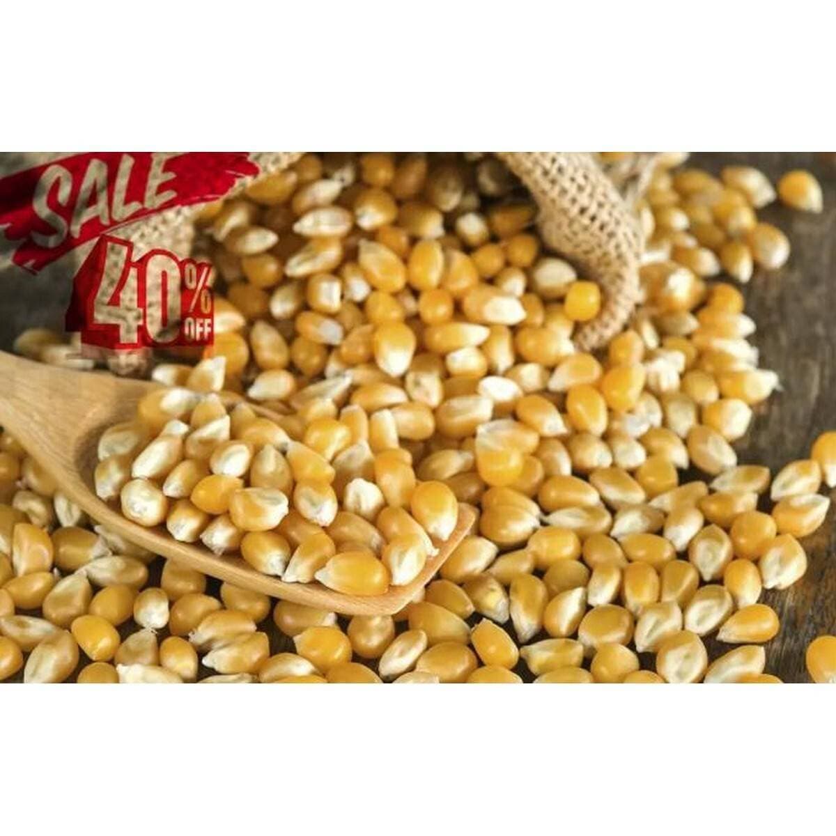 Fresh Popcorn 500 Grams