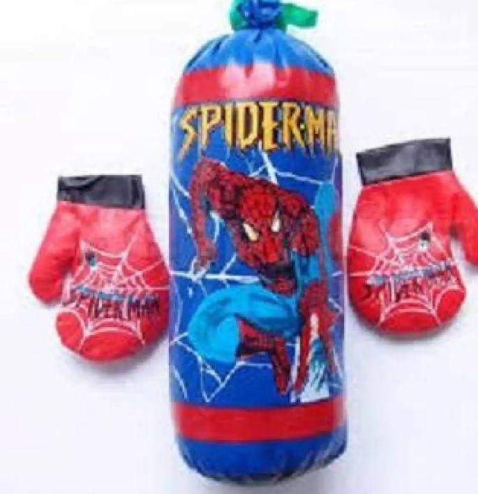 12 Inch Boxing kit with Gloves