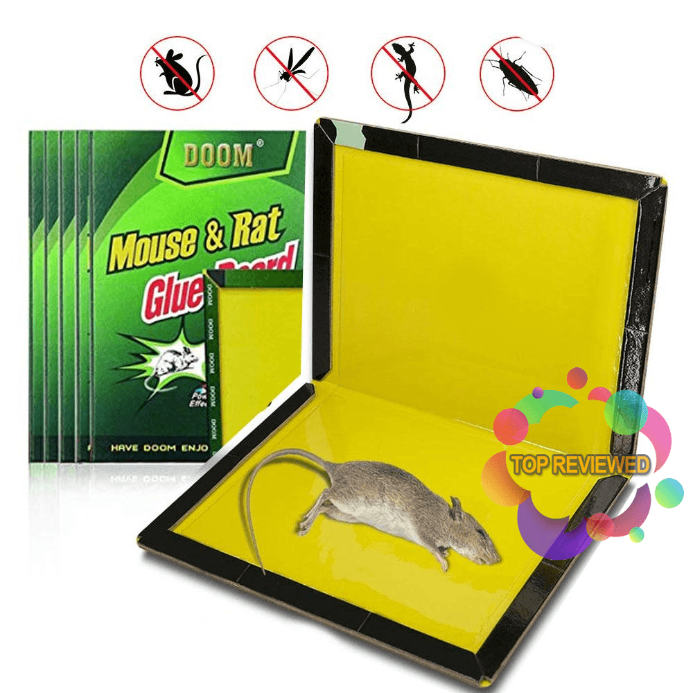 Reusable Expert Catch Mouse Glue Traps Mouse