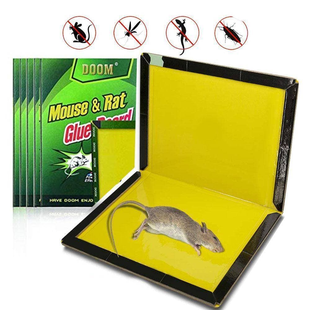 Pack Of 50 (Whole Sale) Reusable Expert Catch Mouse Glue Traps Mouse Size Glue