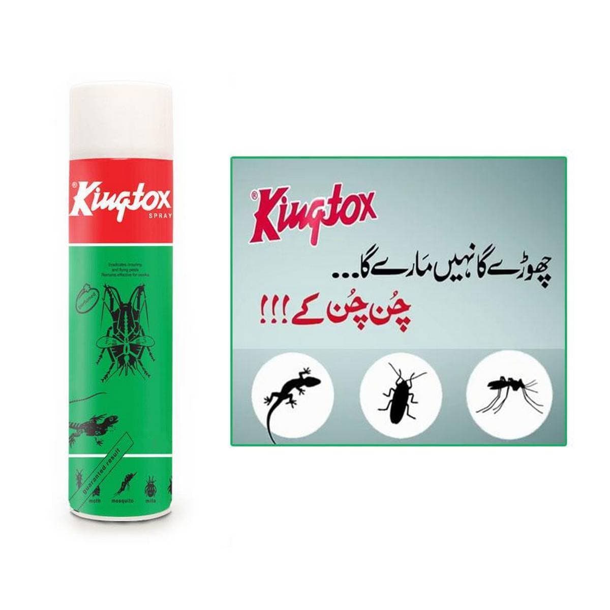 Insect Killer Spray For Cockroach - 450Ml