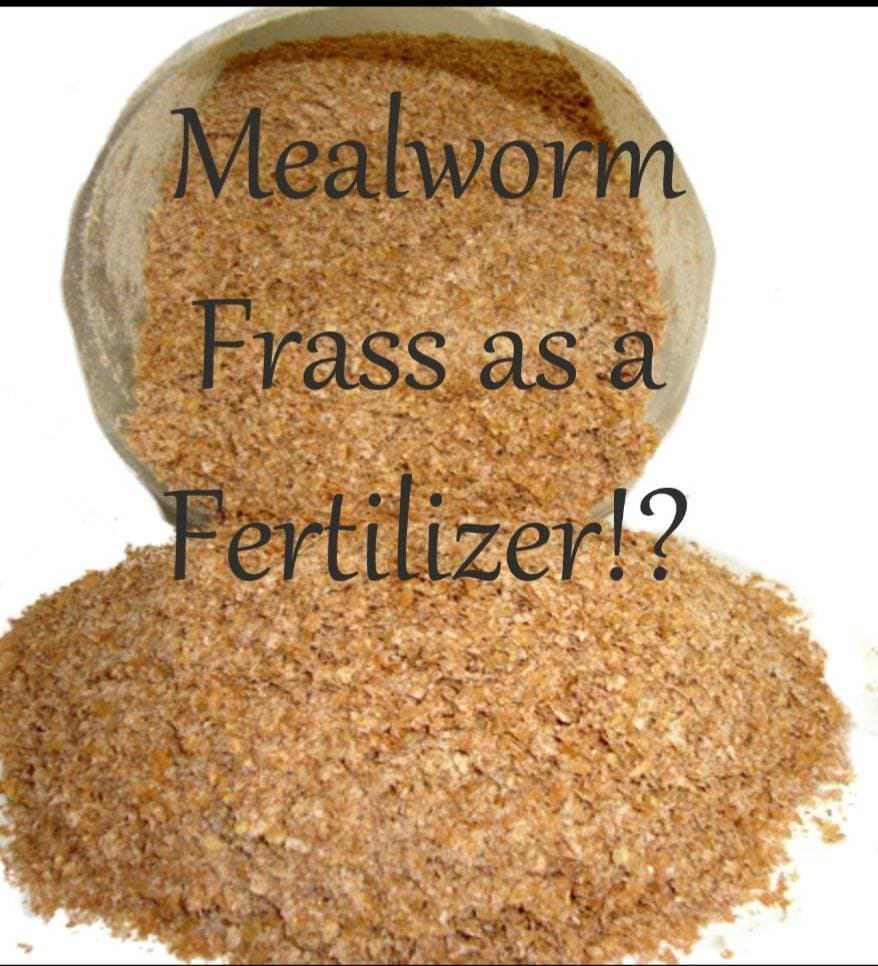 Mealworm Frass Fertilizer (0.5 Kg)