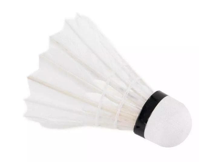 Shuttlecock Feather Shuttle Badminton Pack Of 5