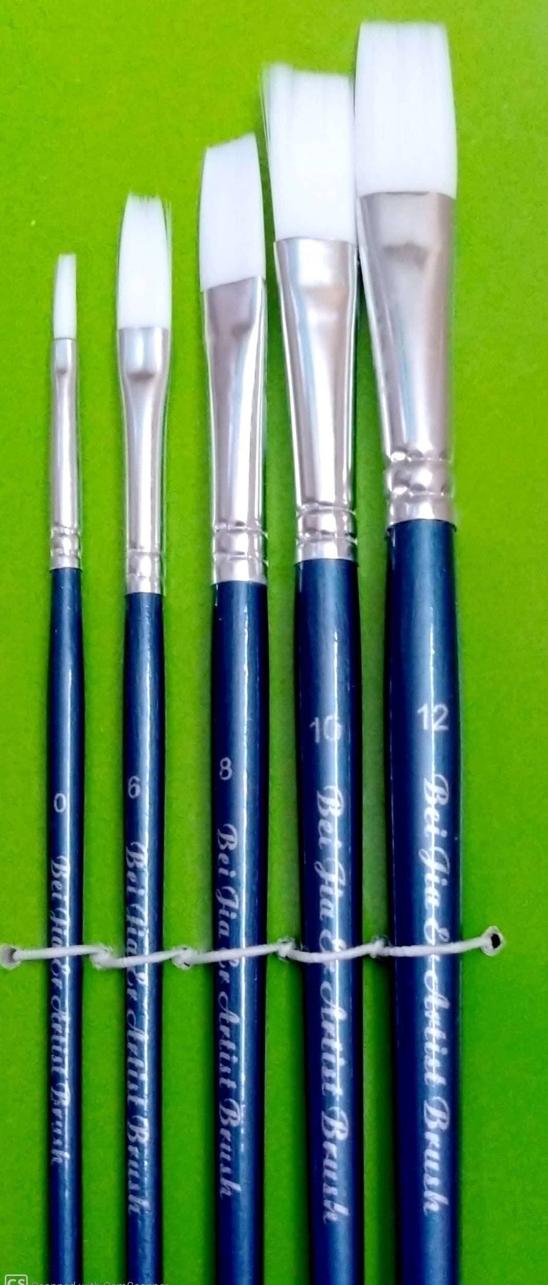 5 Pcs Flat Paint Brush Set for Professional artist