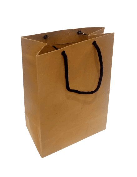 10Pcs Craft Paper Brown Shopping Bags  - Fgl19