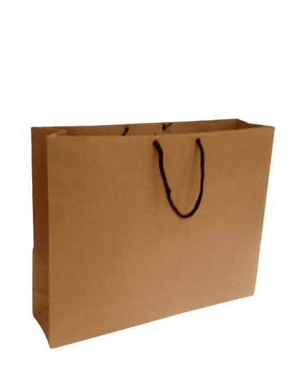 10Pcs Craft Paper Brown Shopping Retail Bags Large Size - Fgl35