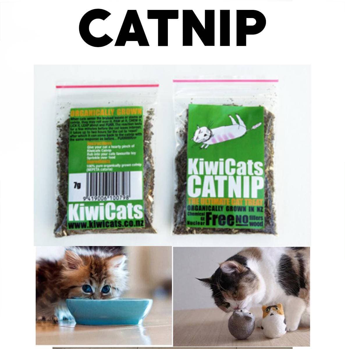 Catnip Natural Organic - 10 Grams