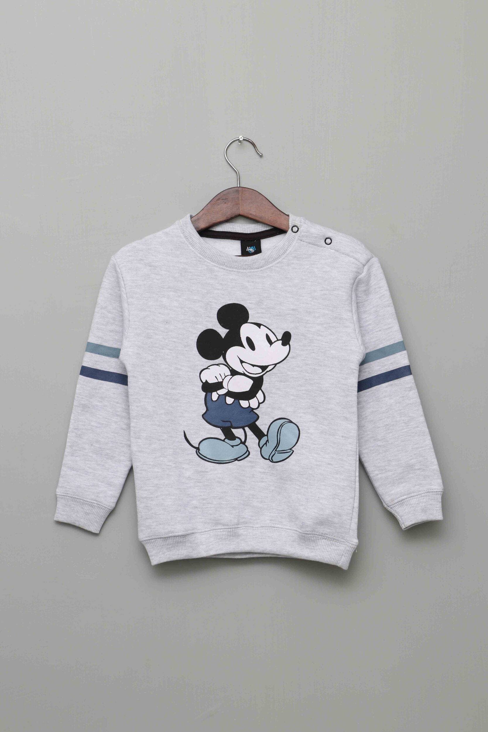 Fleece Fabric Sweat Shirt For Boys - Gray