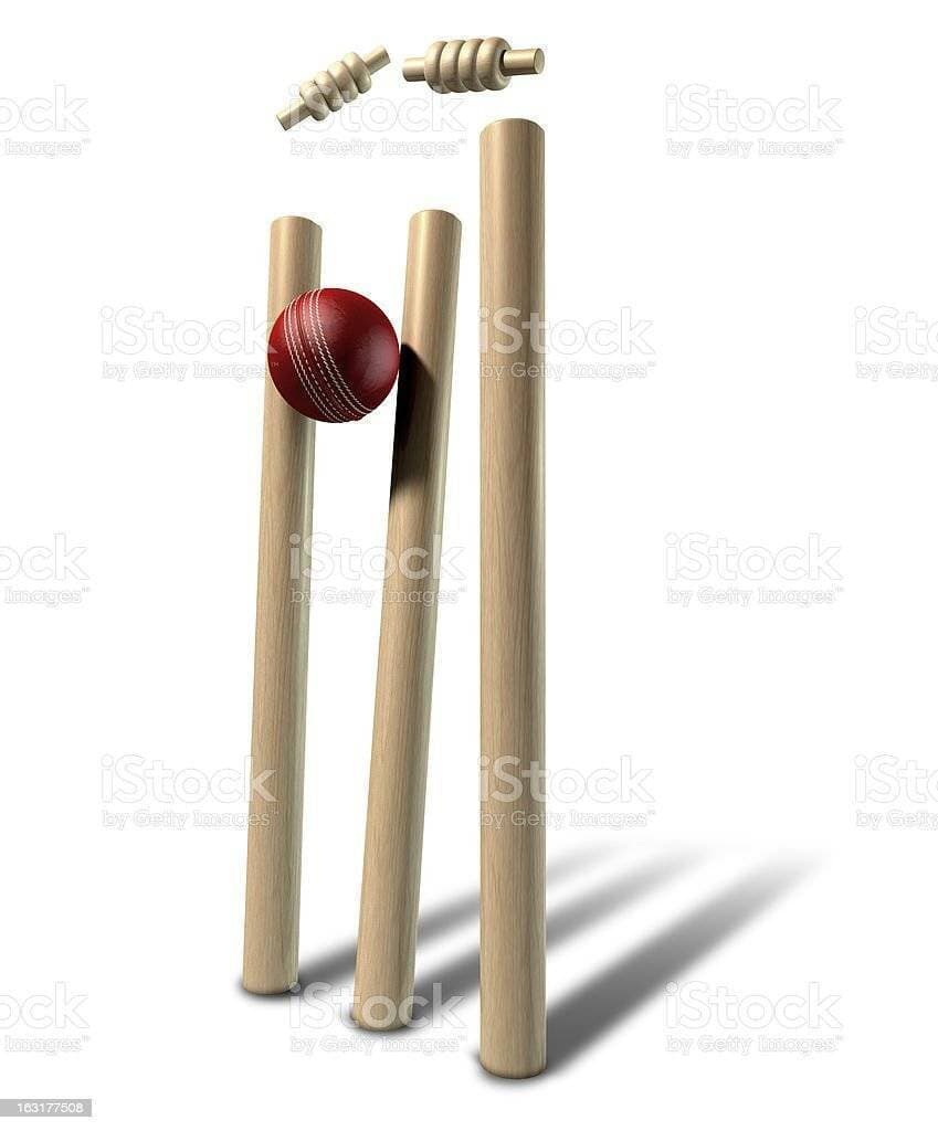 Wooden Cricket Wickets With Stumps - Set of 3
