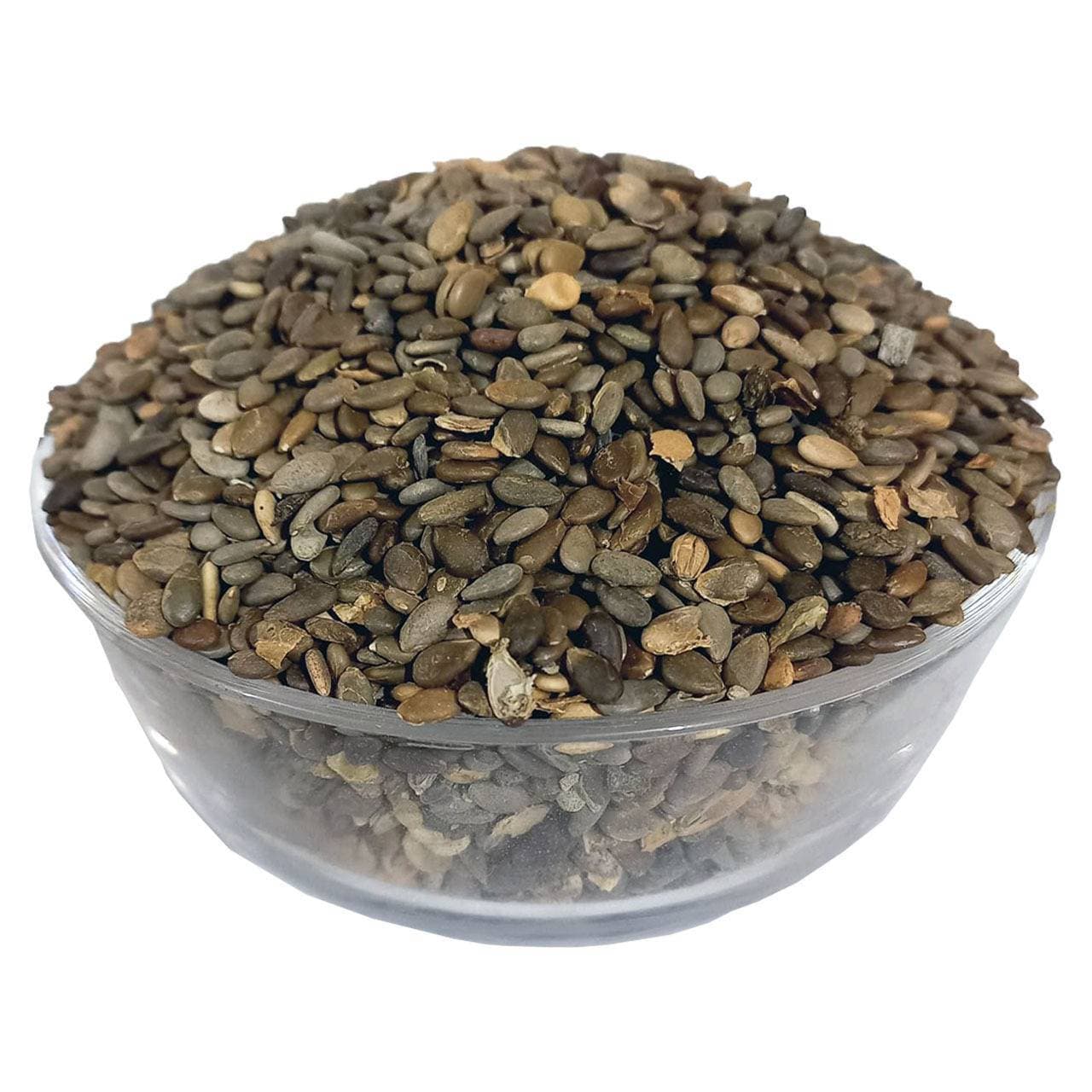Bitter Apple Seeds Tukham Hanzal Tummay Beej by Sabir Sons