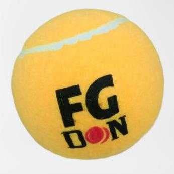 Cricket Tennis 1 Balls Indoor Outdoor Practice Bal