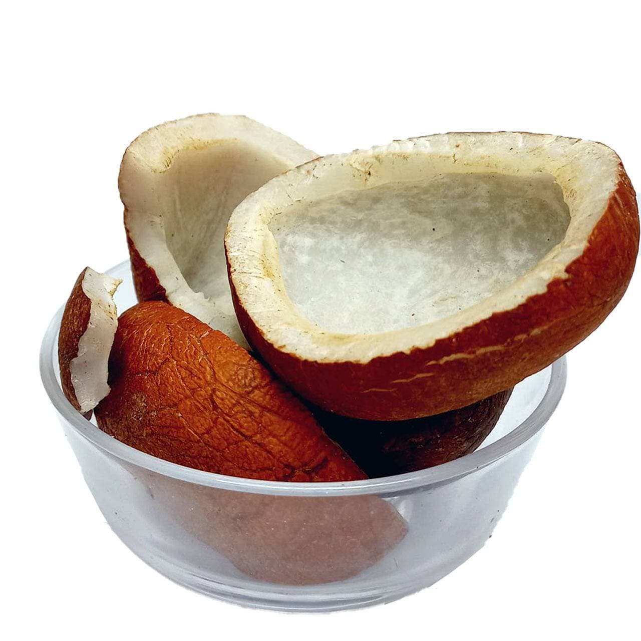 Coconut By Sabir Sons