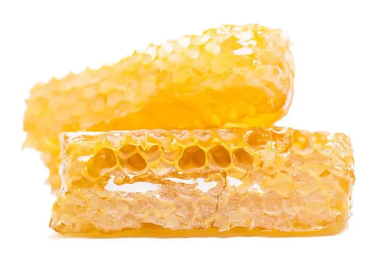 The Natural Fresh Honey Comb 1 Kg